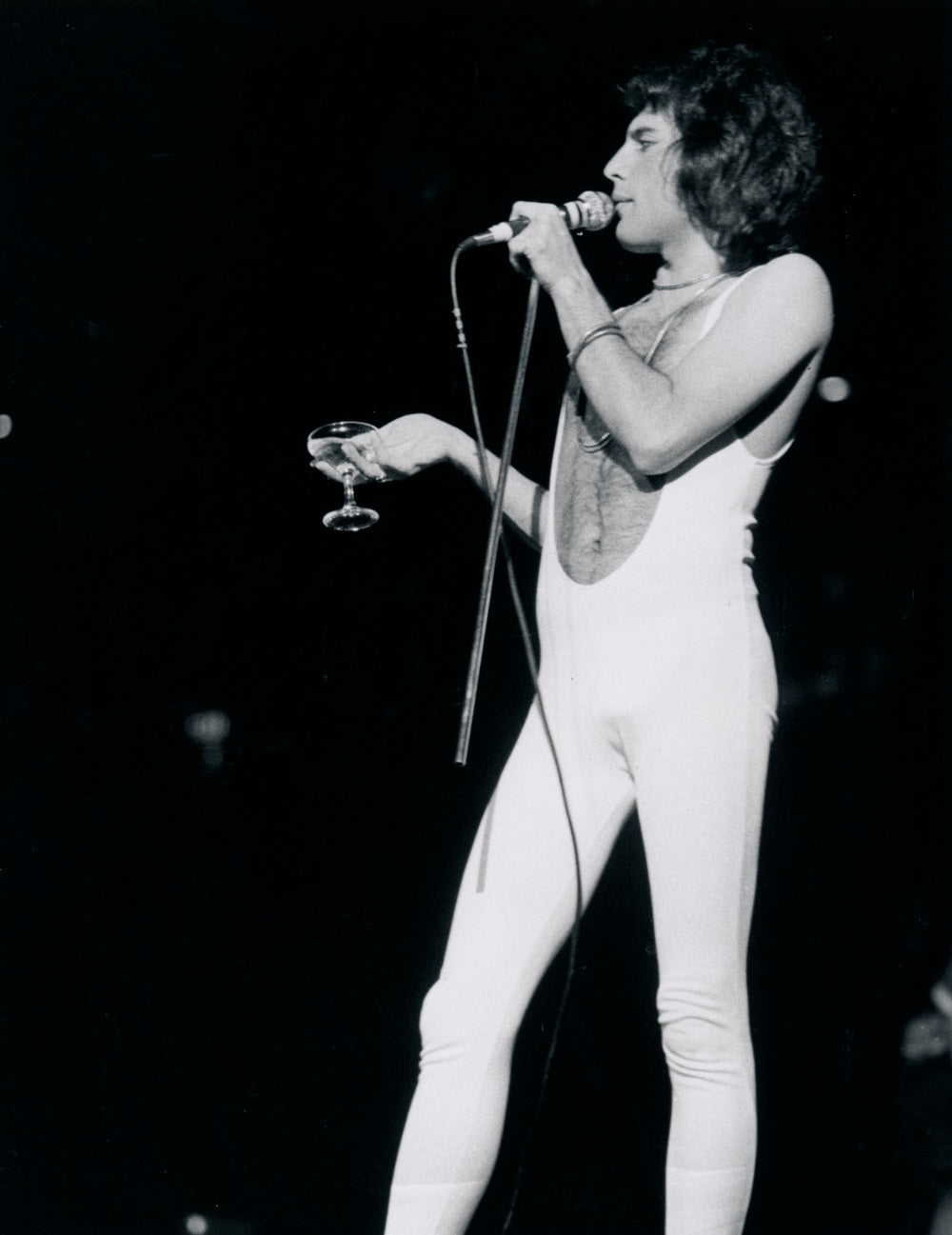 Freddie Mercury of Queen by Anastasia Pantsios