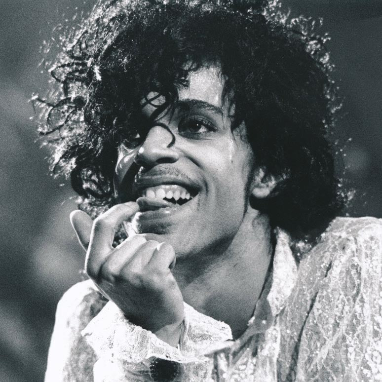 Prince by Anastasia Pantsios
