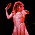 Stevie Nicks by Anastasia Pantsios