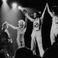 Van Halen by Anastasia Pantsios
